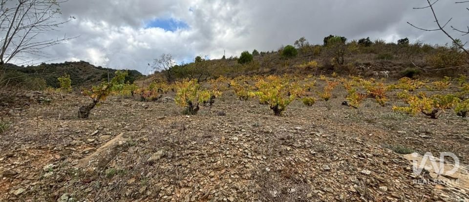 Terreno de 16.506 m² en Porrera (43739)