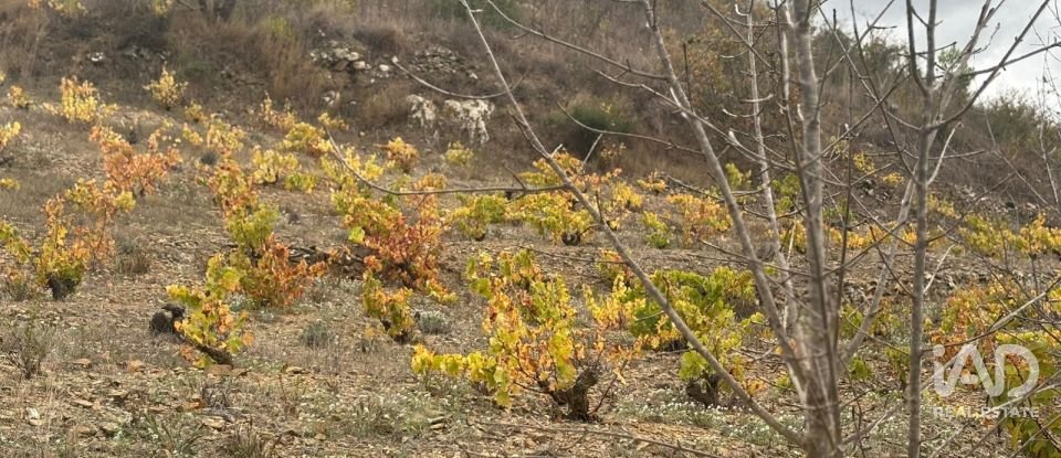 Terreno de 16.506 m² en Porrera (43739)