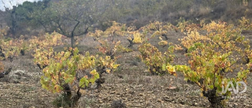 Terreno de 16.506 m² en Porrera (43739)