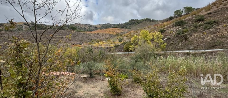 Terreno de 16.506 m² en Porrera (43739)