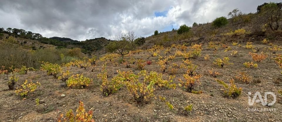 Terreno de 16.506 m² en Porrera (43739)