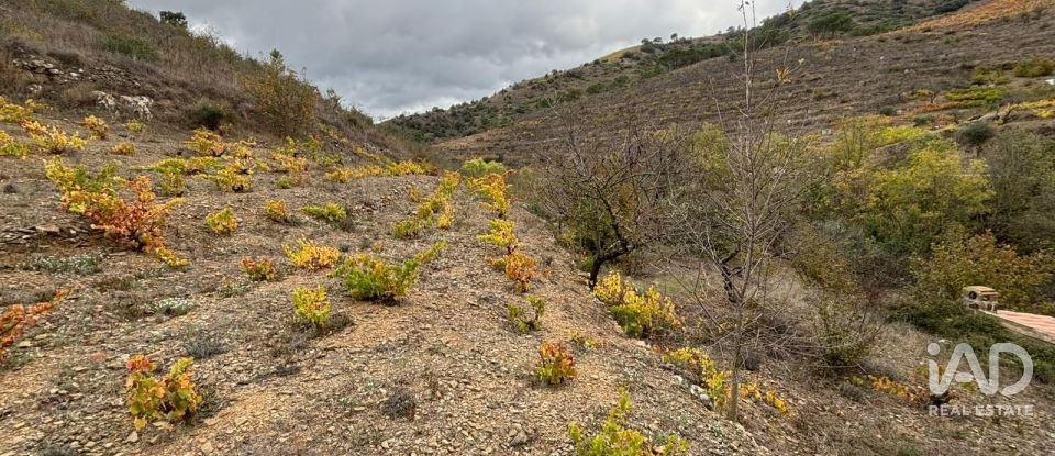 Terreno de 16.506 m² en Porrera (43739)