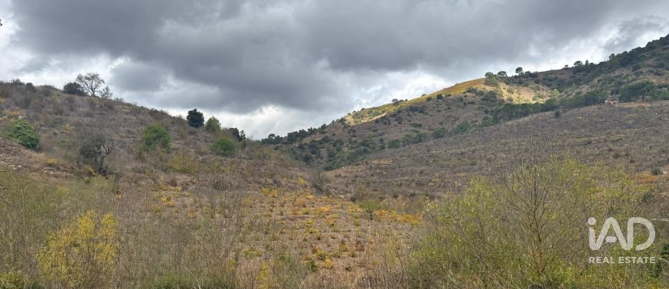 Terreno de 16.506 m² en Porrera (43739)