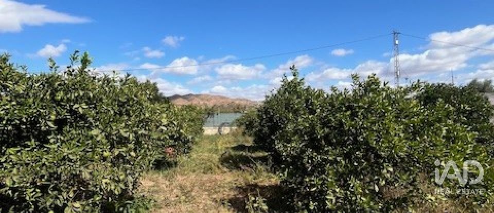 Terreno de 2.469 m² en Cártama (29570)