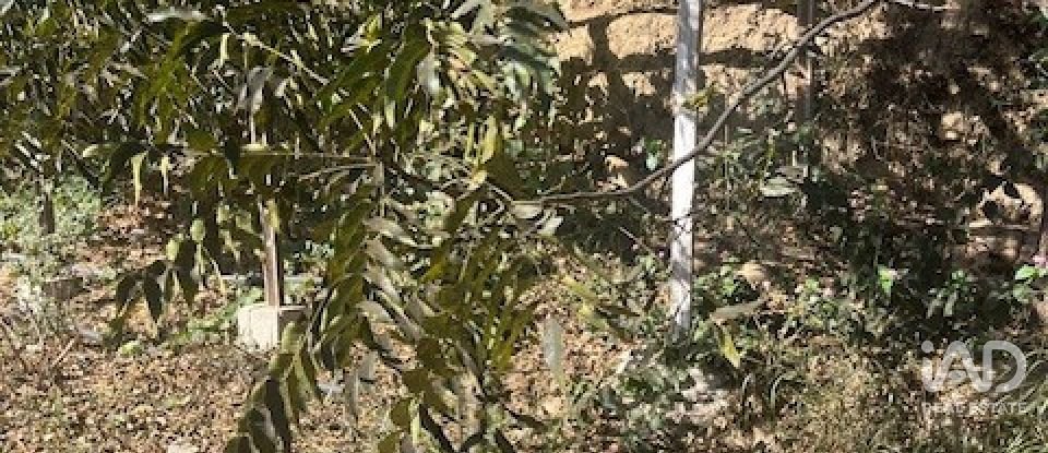 Terreno de 2.469 m² en Cártama (29570)