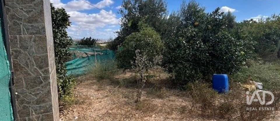 Terreno de 2.469 m² en Cártama (29570)