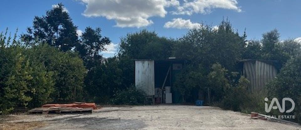 Terreno de 2.469 m² en Cártama (29570)