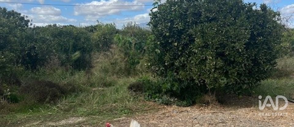 Terreno de 2.469 m² en Cártama (29570)