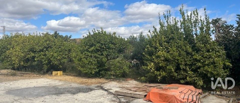 Terreno de 2.469 m² en Cártama (29570)