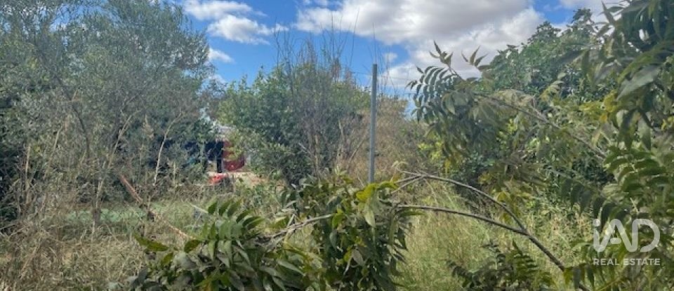 Terreno de 2.469 m² en Cártama (29570)