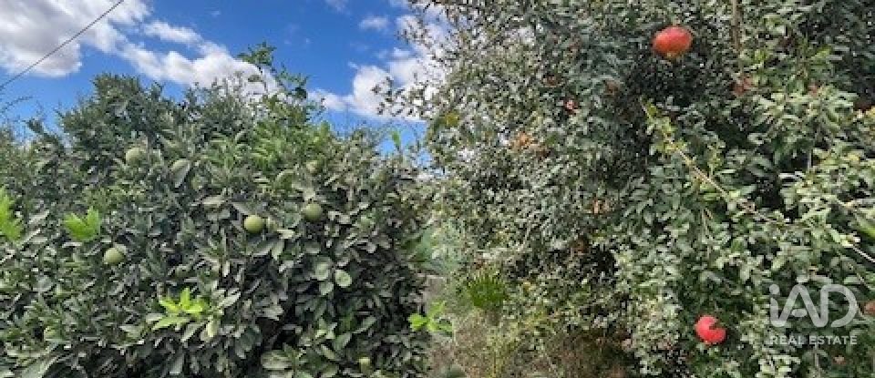 Terreno de 2.469 m² en Cártama (29570)