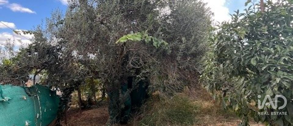 Terreno de 2.469 m² en Cártama (29570)