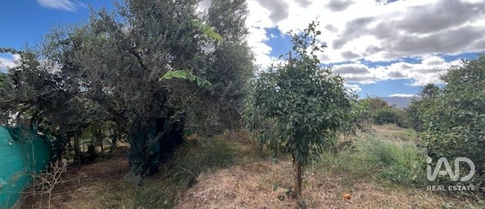 Terreno de 2.469 m² en Cártama (29570)