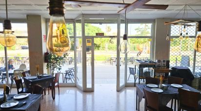 Restaurante gastronómico de 300 m² en Alicante/Alacant (03008)