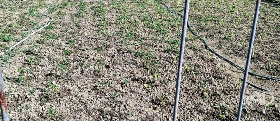 Terreny de 2.000 m² a Zierbena (48508)