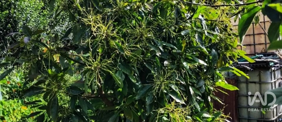 Terreny de 2.000 m² a Zierbena (48508)