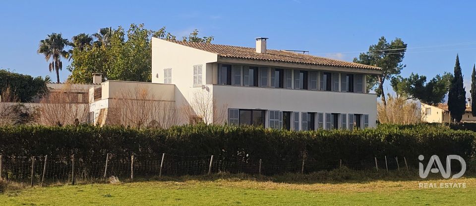 House 4 bedrooms of 362 m² in Alcúdia (07400)