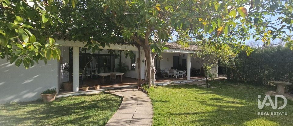 House 4 bedrooms of 362 m² in Alcúdia (07400)