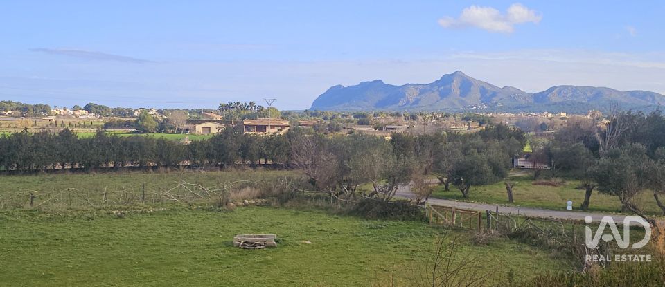 House 4 bedrooms of 362 m² in Alcúdia (07400)