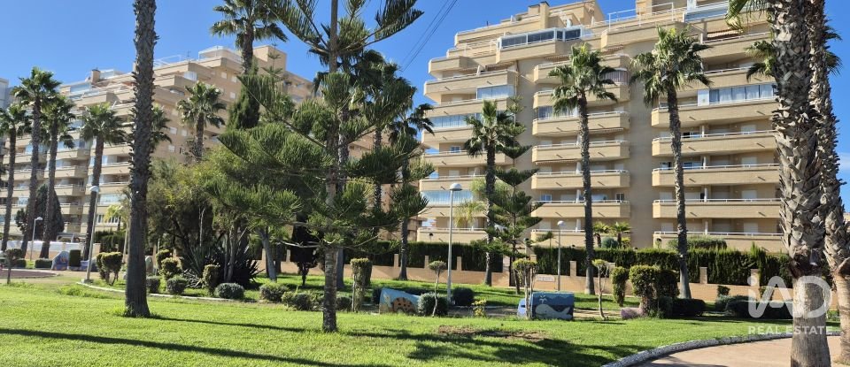 Piso 2 habitaciones de 68 m² en Oropesa/Oropesa del Mar (12594)