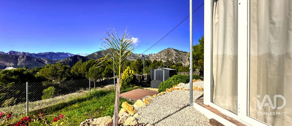 Terrain de 3 500 m² à Tarbena (03518)