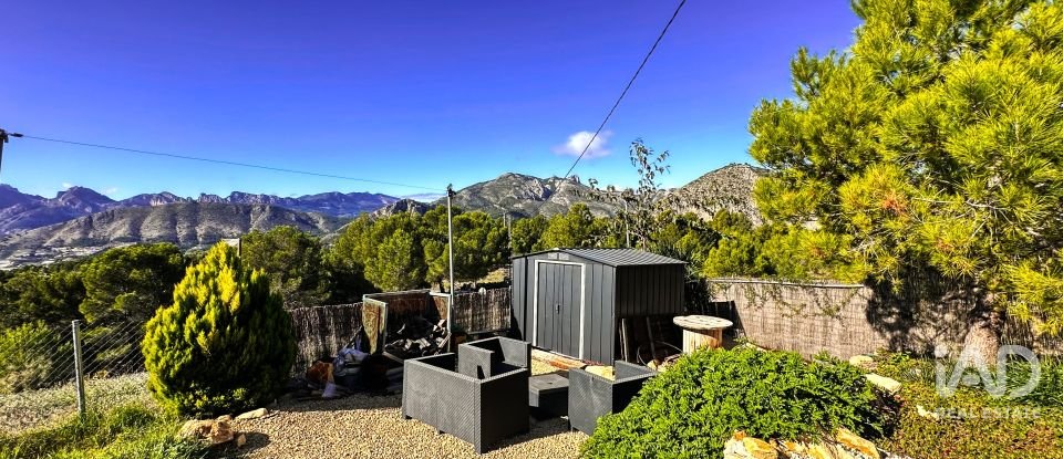 Terrain de 3 500 m² à Tarbena (03518)