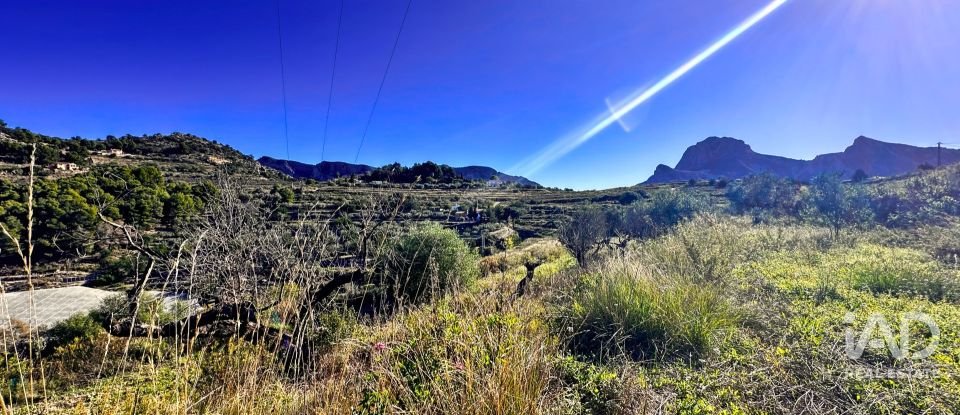 Terrain de 3 500 m² à Tarbena (03518)