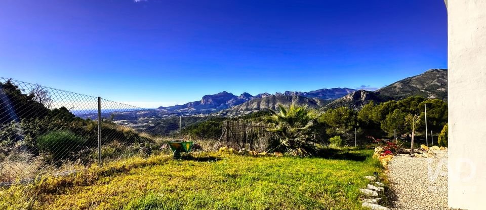 Terrain de 3 500 m² à Tarbena (03518)
