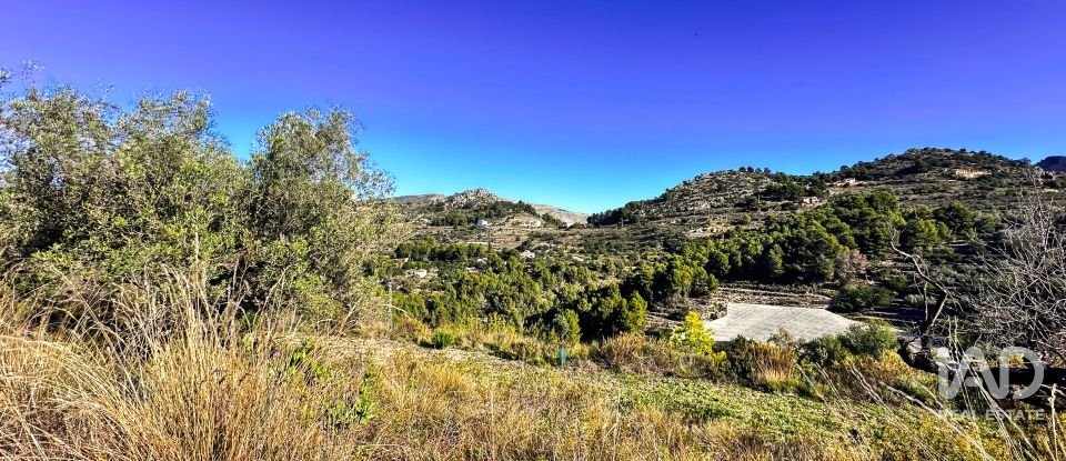 Terrain de 3 500 m² à Tarbena (03518)