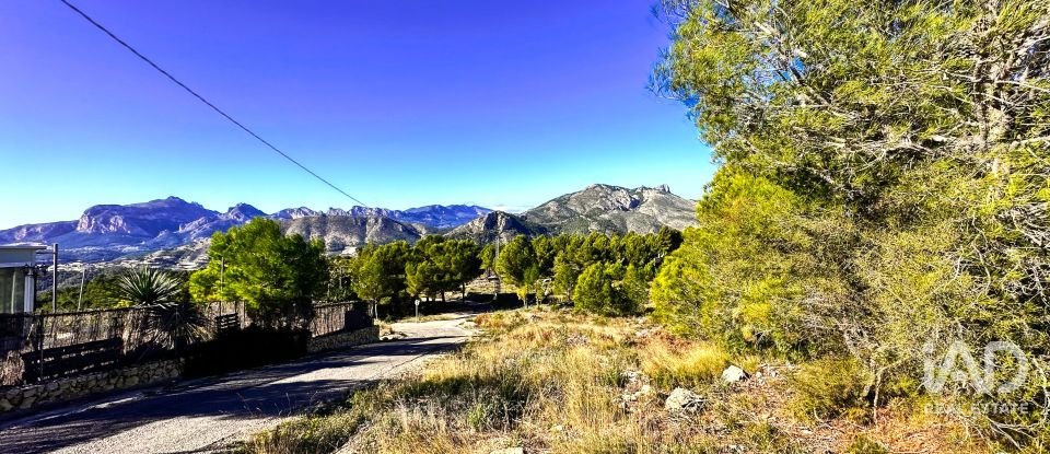 Terrain de 3 500 m² à Tarbena (03518)