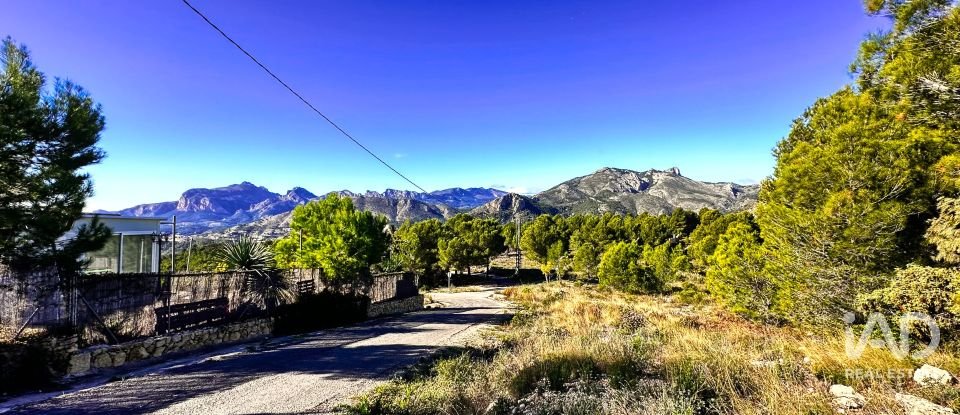 Terrain de 3 500 m² à Tarbena (03518)