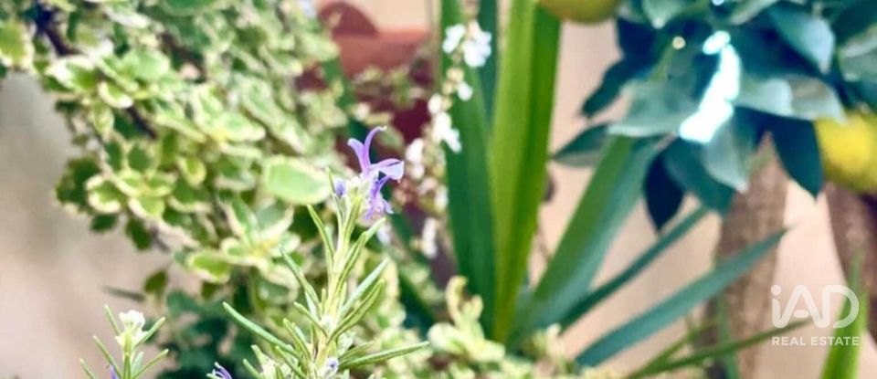 Casa 3 habitaciones de 164 m² en Tarifa (11380)