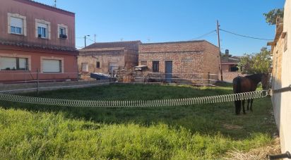 Building plot of 443 m² in Deltebre (43580)