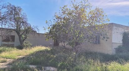 House 5 bedrooms of 250 m² in Alicante/Alacant (03699)