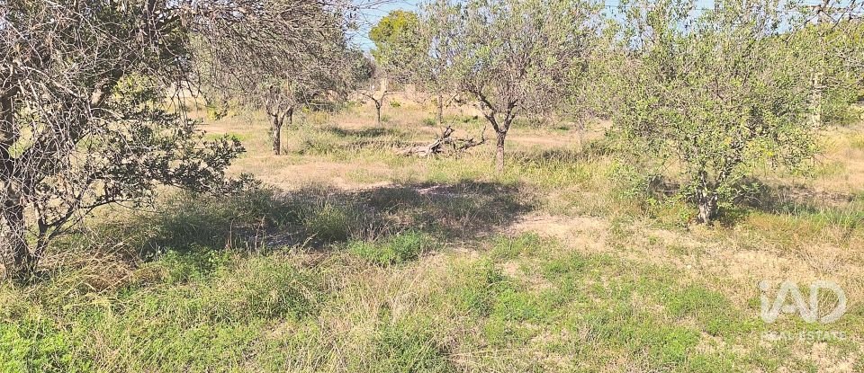 Casa 5 habitacions de 250 m² a Alicante/Alacant (03699)