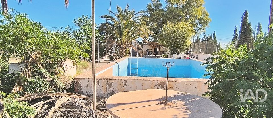 Casa 5 habitacions de 250 m² a Alicante/Alacant (03699)