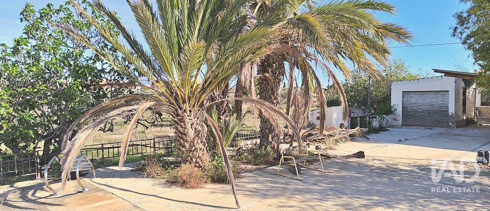 Casa 5 habitacions de 250 m² a Alicante/Alacant (03699)