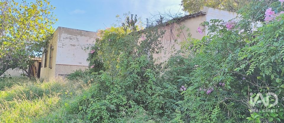 Casa 5 habitacions de 250 m² a Alicante/Alacant (03699)