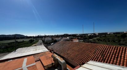 Loft 0 bedrooms of 25 m² in Roses (17480)