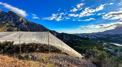 Terreno de 10.800 m² en Callosa d'en Sarria (03510)