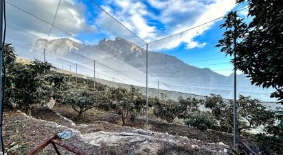 Terreny de 10.800 m² a Callosa d'en Sarria (03510)