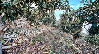 Terreno de 10.800 m² en Callosa d'en Sarria (03510)