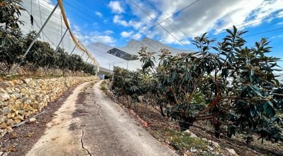 Terreny de 10.800 m² a Callosa d'en Sarria (03510)