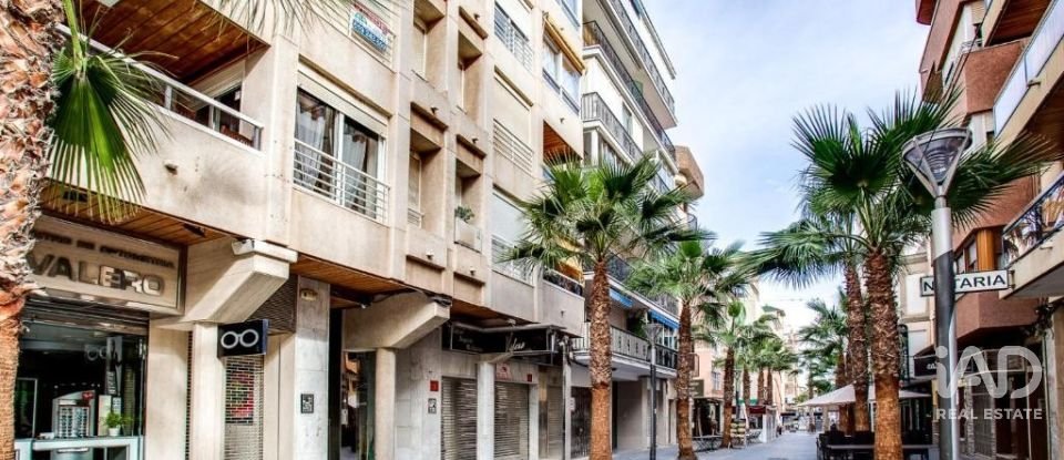 Piso 3 habitaciones de 110 m² en Torrevieja (03181)