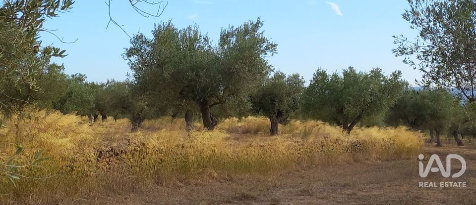 Granja 3 habitacions de 77.362 m² a Tivissa (43746)