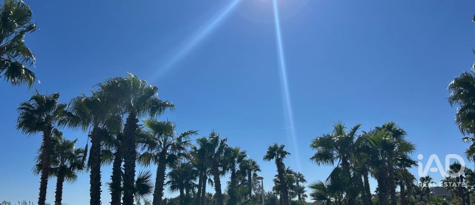 Piso 2 habitaciones de 61 m² en Oropesa/Oropesa del Mar (12594)