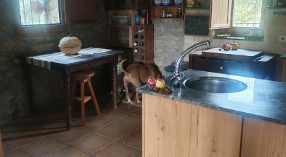 Lodge 5 bedrooms of 354 m² in Alentorn (25736)