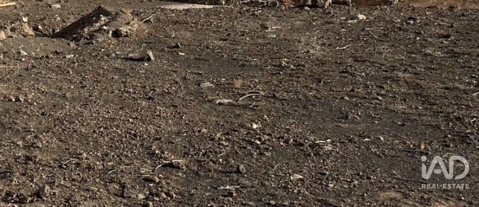 Terreno de 1.000 m² en Barranco de La Calera (35571)