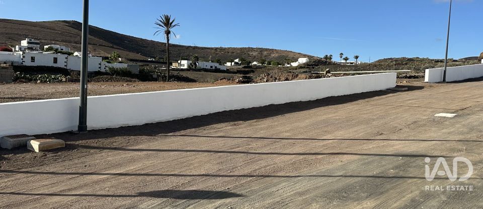 Terreno de 1.000 m² en Barranco de La Calera (35571)