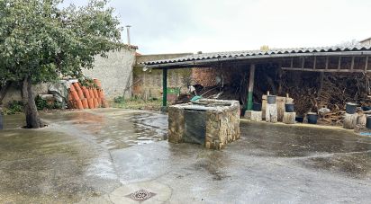 Village house 4 bedrooms of 146 m² in Destriana (24730)